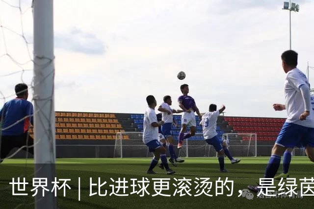 世界杯 | 比进球更滚烫的，是绿茵场上的爱