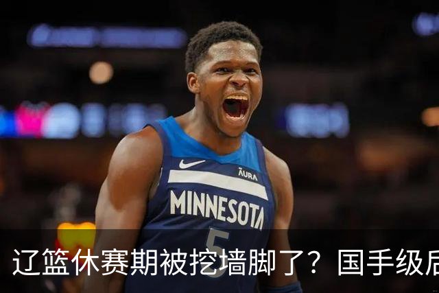 辽篮休赛期被挖墙脚了？国手级后卫恐被交易：变相逼着赵继伟走人